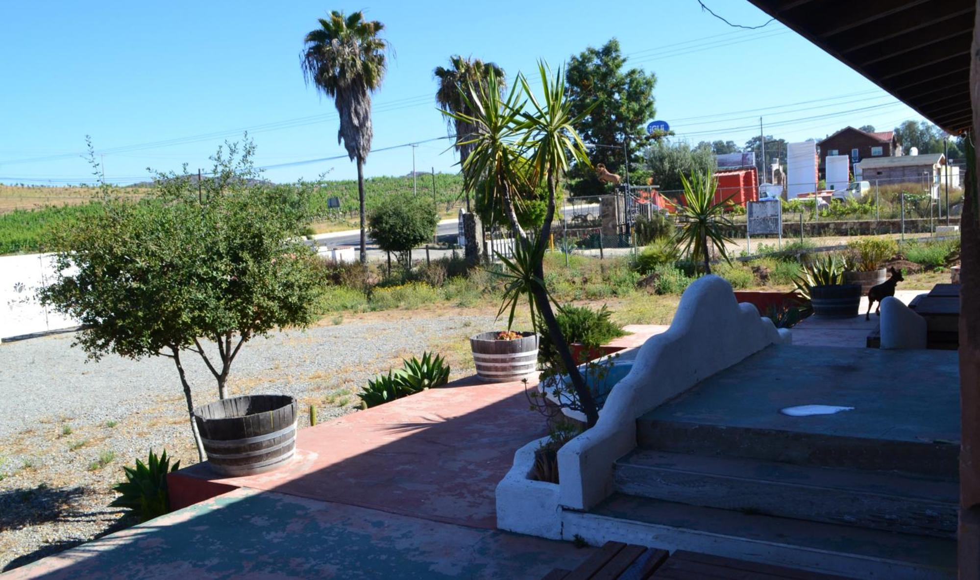 Kalanchoe Poshtel Suites Las Palmas  Esterno foto